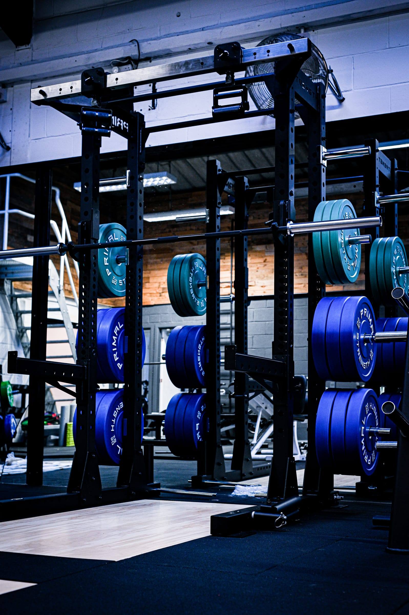 Power rack loaded with coloured bumper plates on a Yeovil platform
